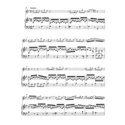 Sonata in C major for Flute and Basso Continuo / Sonatas in E-flat major and G minor for Flute and Obbligato Harpsichord - Bach, Johann Sebastian