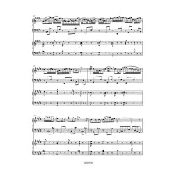 Harpsichord Concerto No.2 in E major