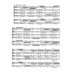 Concerto - Bach, Johann Sebastian