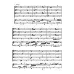 Concerto - Bach, Johann Sebastian