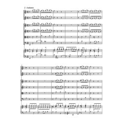 Concerto - Bach, Johann Sebastian