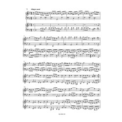 Concerto for Harpsichord and Strings : G minor BWV 1058