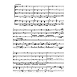 Concerto - Bach, Johann Sebastian