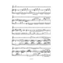 Horn Concerto in E-flat major No. 4 : KV 495