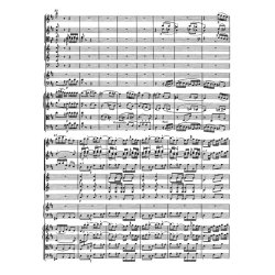 Concerto - Mozart, Wolfgang Amadeus