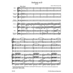 Symphony - Mozart, Wolfgang Amadeus