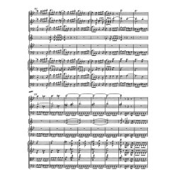 Concerto - Mozart, Wolfgang Amadeus