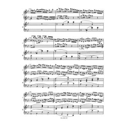 Concert 15 Bes KV450