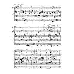 Magnificat im 9. Ton - Wenzel, Eberhard