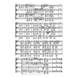 Befiehl dem Engel, dass er komm : Choral cantata