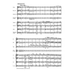 Symphony - Schubert, Franz