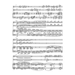 Trio - Schubert, Franz