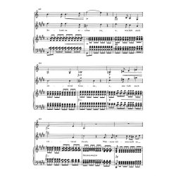 Auf dem Strom - Schubert, Franz