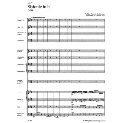 Symphony - Schubert, Franz