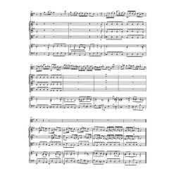 Concerto - Telemann, Georg Philipp