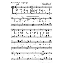 Singt im Chor : 30 leichte S&auml;tze f&uuml;r drei- bis f&uuml;nfstimmigen Chor