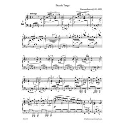 B&auml;renreiter Piano Album. Early 20th Century - 