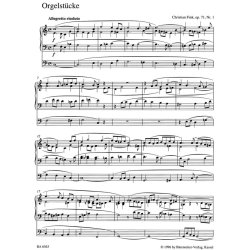 Organ Music of the Classic Era and the Early Romantic Period - Fink, Christian