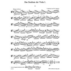 Das Studium der Viola - 