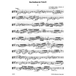 Das Studium der Viola - 