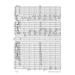 Maitreya. Versuch einer integralen Musik - Klangspirale (Spiral of Sounds) - Hamel, Peter Michael