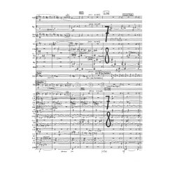 Maitreya. Versuch einer integralen Musik - Klangspirale (Spiral of Sounds) - Hamel, Peter Michael