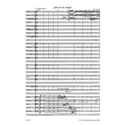 Denk ich an Haydn - Winbeck, Heinz