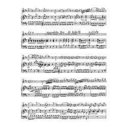 Concerto - Boccherini, Luigi