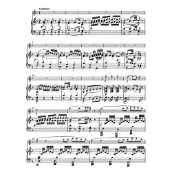 Concerto - Mozart, Wolfgang Amadeus