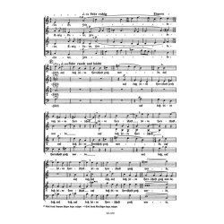 Die Weihnachtsgeschichte (Nativity Story) - Distler, Hugo