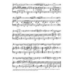 Slavonic Dances - Dvor&aacute;k, Anton&iacute;n