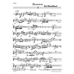 Trio - Hamel, Peter Michael