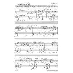 drau&szlig;en verloren - drinnen gefunden - Hamel, Peter Michael