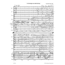 Im Schweigen der Betrachtung : Musik f&uuml;r Chor und Instrumente