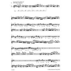 Flute Solos from Sacred and Secular Vocal Works - Bach, Johann Sebastian