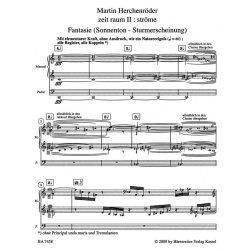 zeit raum II: str&ouml;me - Herchenr&ouml;der, Martin