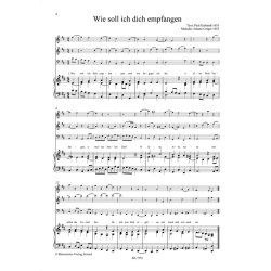 Der neue Quempas. Advents- und Weihnachtslieder - 