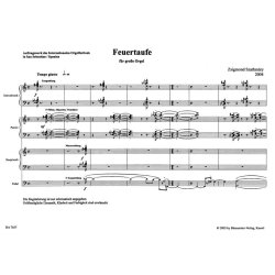 Feuertaufe - Szathm&aacute;ry, Zsigmond