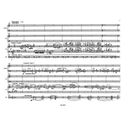 Feuertaufe - Szathm&aacute;ry, Zsigmond