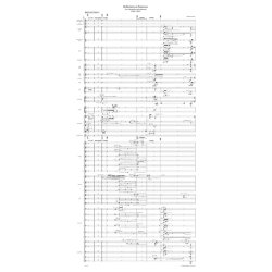 Reflections on Narcissus - Pintscher, Matthias