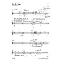 Merging strain - Seither, Charlotte