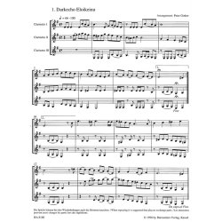 Schabbes, Schabbes : Jiddische Lieder