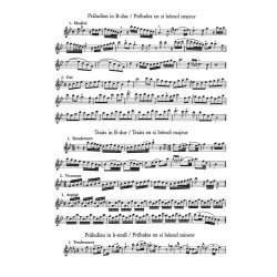 Sololiteratur des Hochbarock - 