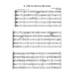 Musique de Consort du XVe au XVIIe si&THORN;cle - 