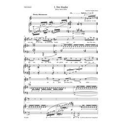 Ich will ein Reiter werden - Trojahn, Manfred