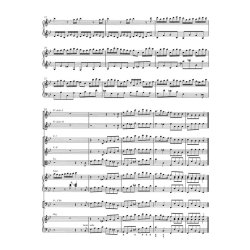 Concerto - H&auml;ndel, Gerog Friedrich