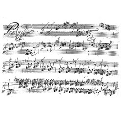 New Edition of the Complete Organ and Keyboard Works - L&uuml;beck, Vincent (Senior) / L&uuml;beck, Vincent (Junior)