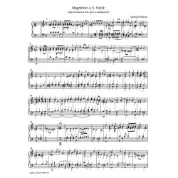 Organ and Keyboard Music at the Salzburg Court 1500 - 1800 - 