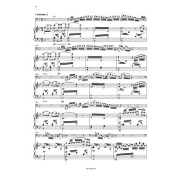 Concert Piece - Berwald, Franz