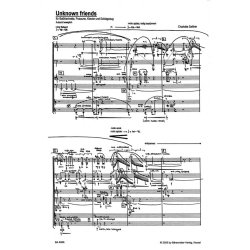 Unknown friends - Seither, Charlotte